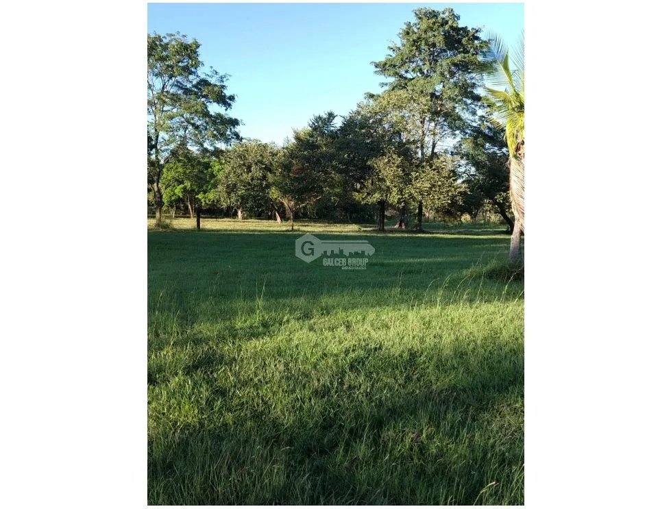 CORONADO / BOULEVARD / FINCA PLANA / 14 HECTÁREAS / 50.00 m2