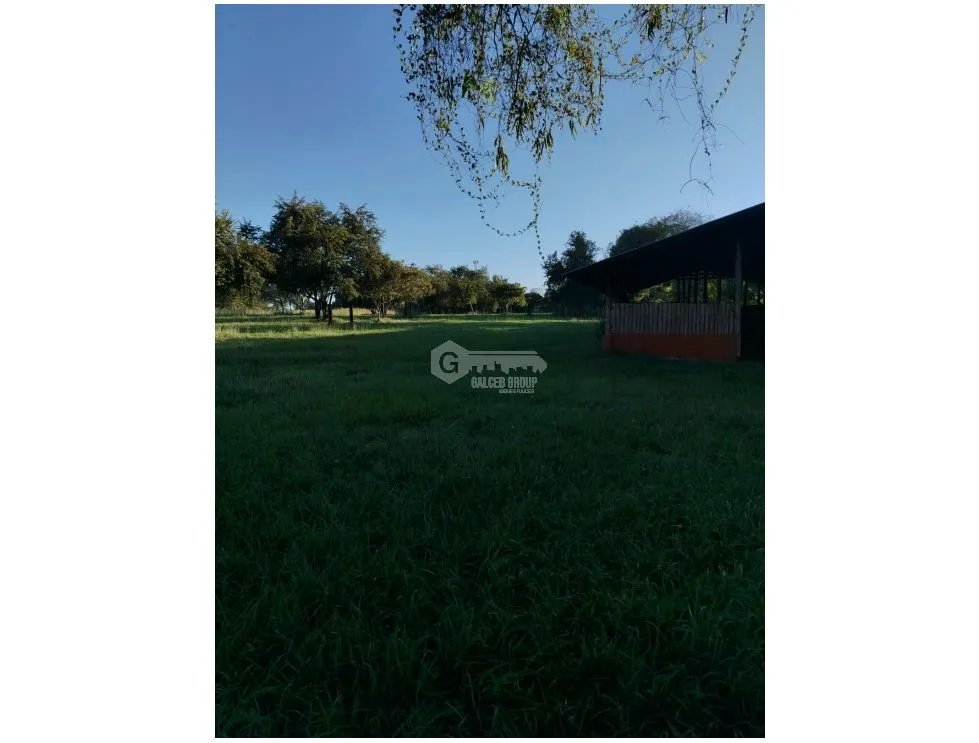 CORONADO / BOULEVARD / FINCA PLANA / 14 HECTÁREAS / 50.00 m2
