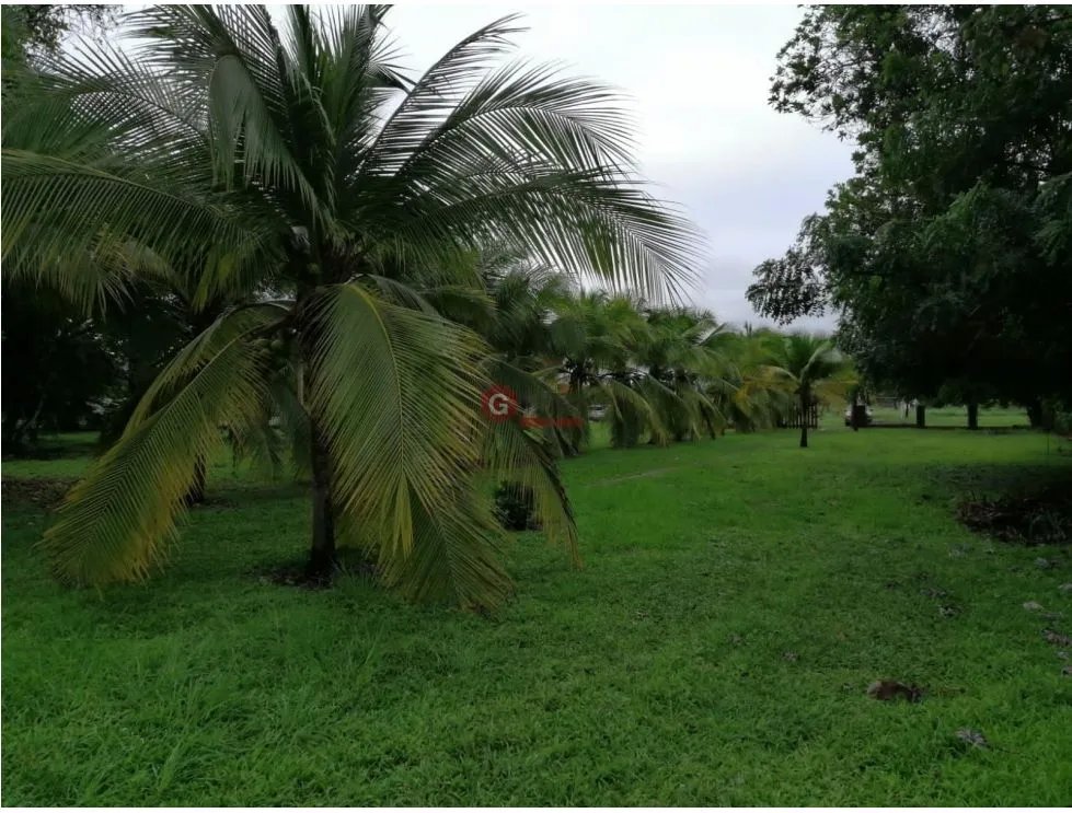 CORONADO BOULEVARD / TERRENO DE 3 FINCAS / CERCA DEL MAR
