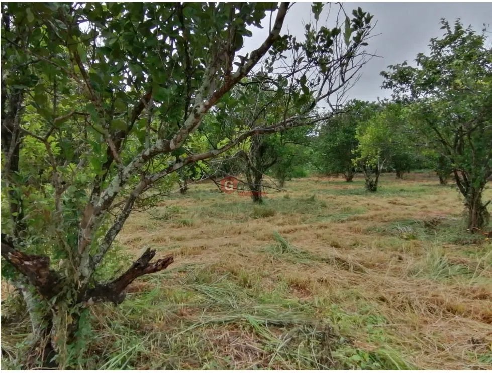Building Lot for sale in Coronado