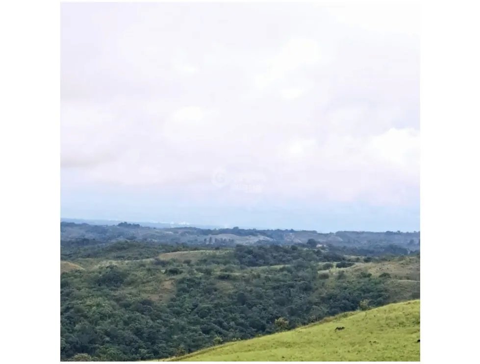 SAN CARLOS / 10000M / VISTA AL MAR Y MONTAÑAS / QUEBRADA INLUIDA  AG