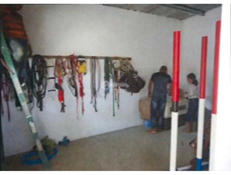LOMA DEL RIO / CHEPO / 1.6 HECTAREA / ESTABLO Y PISTA GANADERA