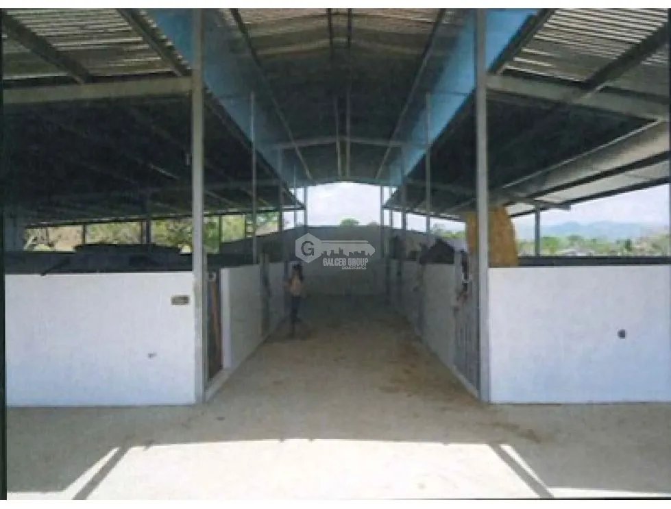 CHEPO / LOMA DEL RIO / 1.6 HECTAREA / CASA / ESTABLO / PISCINA