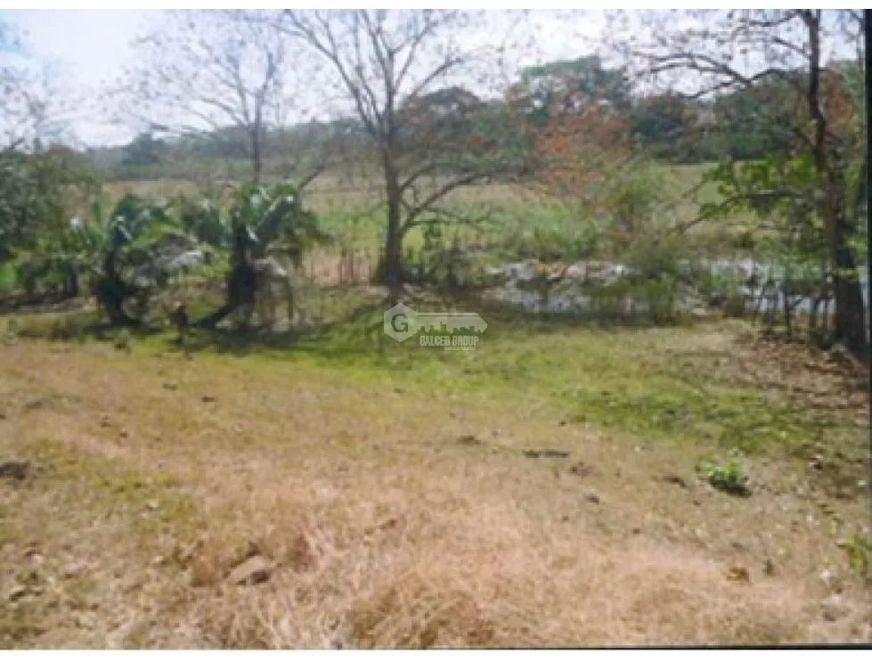 CHEPO / LOMA DEL RIO / 1.6 HECTAREA / CASA / ESTABLO / PISCINA