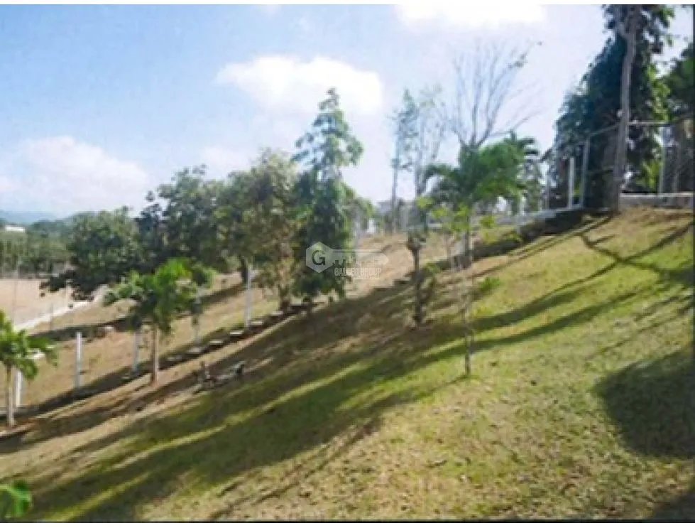 CHEPO / LOMA DEL RIO / 1.6 HECTAREA / CASA / ESTABLO / PISCINA