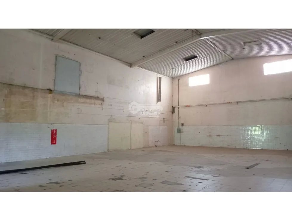 Warehouse for rent in Pedregal