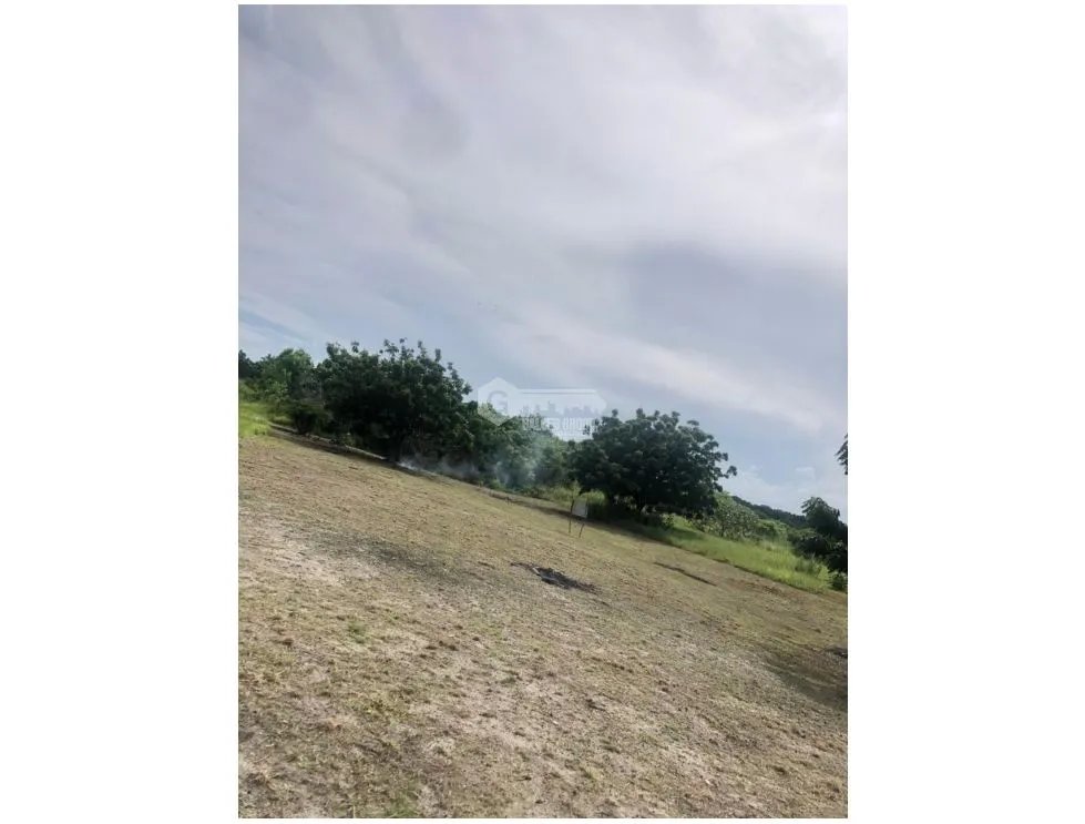 PUNTA CHAME / 1500M / A POCOS METROS DEL MAR / LOTE DE PLAYA AG