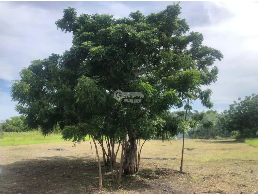 PUNTA CHAME / 1500M / A POCOS METROS DEL MAR / LOTE DE PLAYA AG