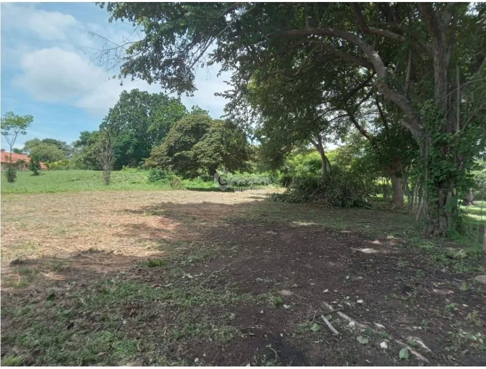 CHAME / CABUYA / 701M / TERRENO / SOBRE LA VIA /  AG