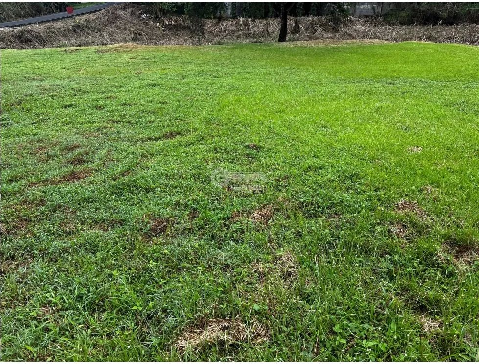 TERRENO / VILLA ZAITA / 600M / TOTALMENTE PLANO / DE ESQUINA JC