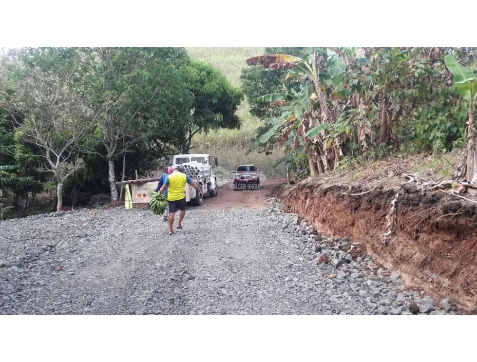 Land/Farm for sale in Las Cumbres