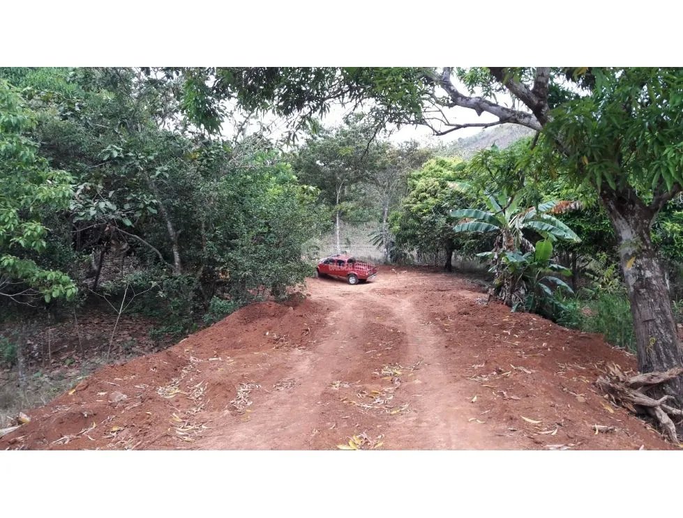 Land/Farm for sale in Las Cumbres