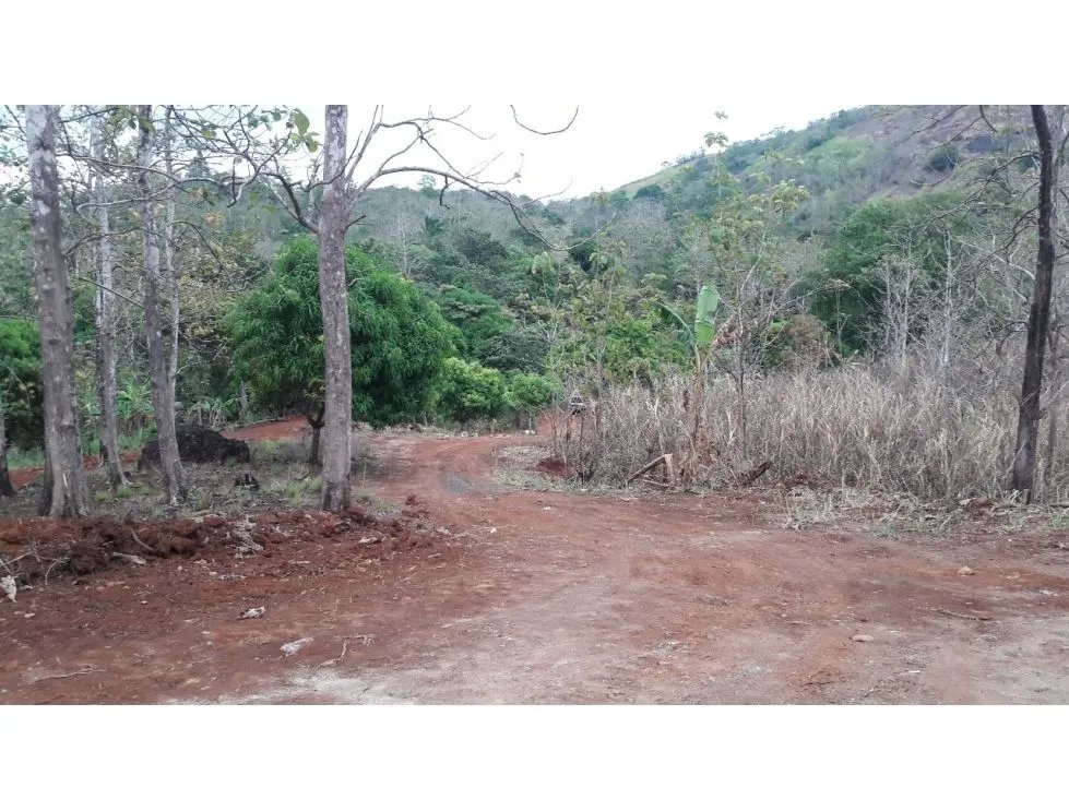 Land/Farm for sale in Las Cumbres