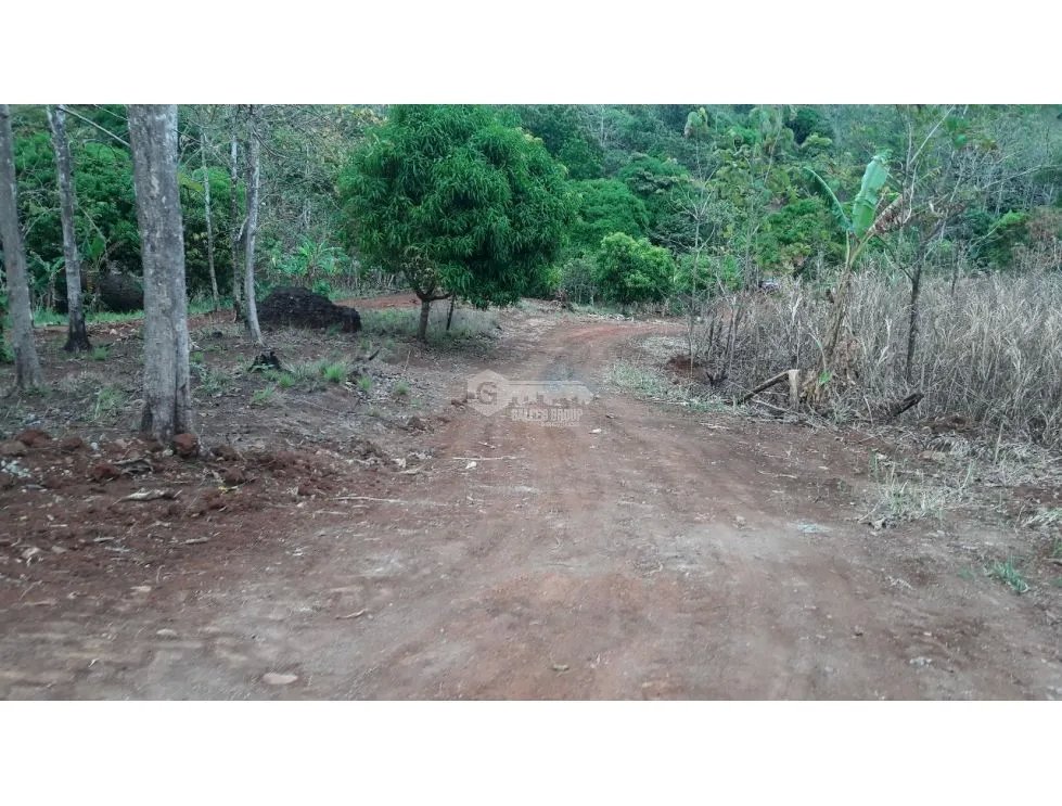 LAS CUMBRES / VILLA GRECIA / 12 HECTAREAS / DESARROLLO DE BARRIADA
