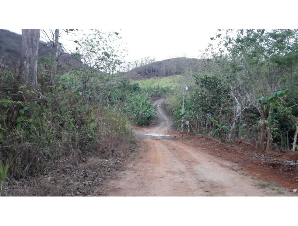 LAS CUMBRES / VILLA GRECIA / 12 HECTAREAS / DESARROLLO DE BARRIADA