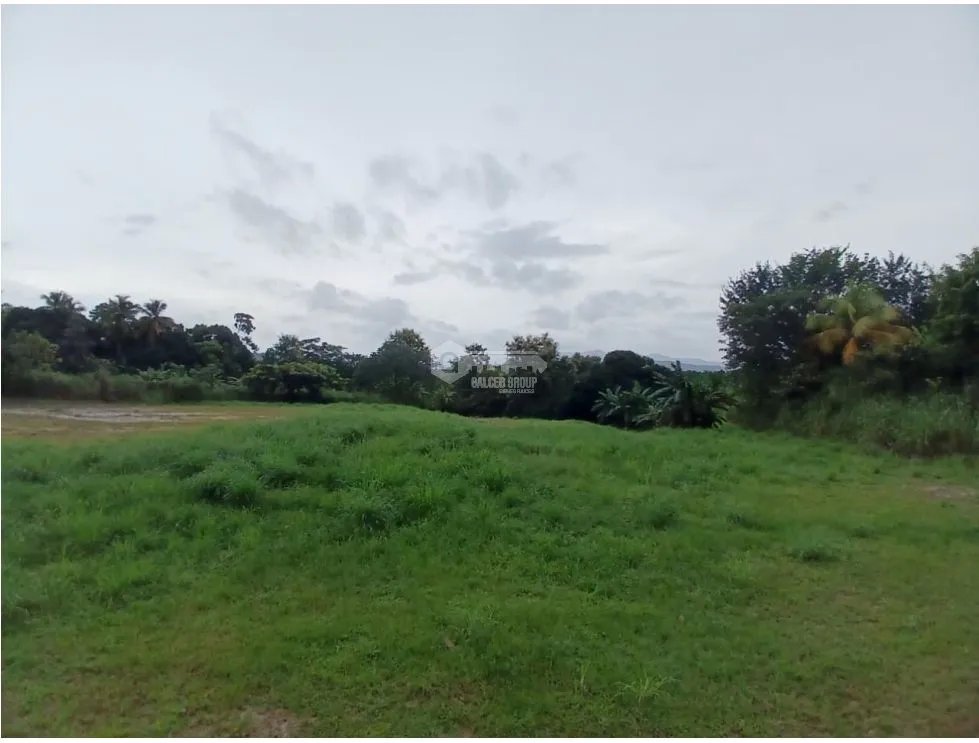 CHAME / LAS LAJAS / 4732M / TERRENO SEMI PLANO / SOBRE LA VIA  / AG