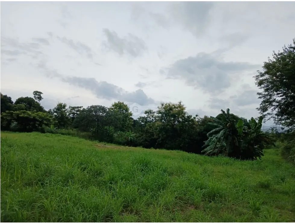 CHAME / LAS LAJAS / 4732M / TERRENO SEMI PLANO / SOBRE LA VIA  / AG