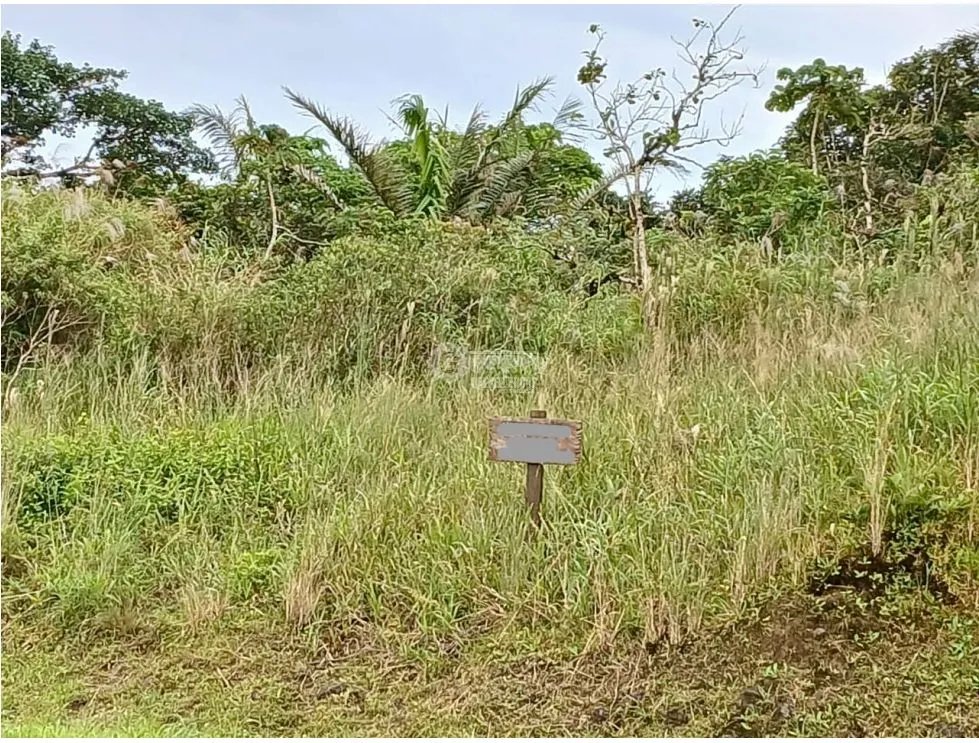 Building Lot for sale in El Valle