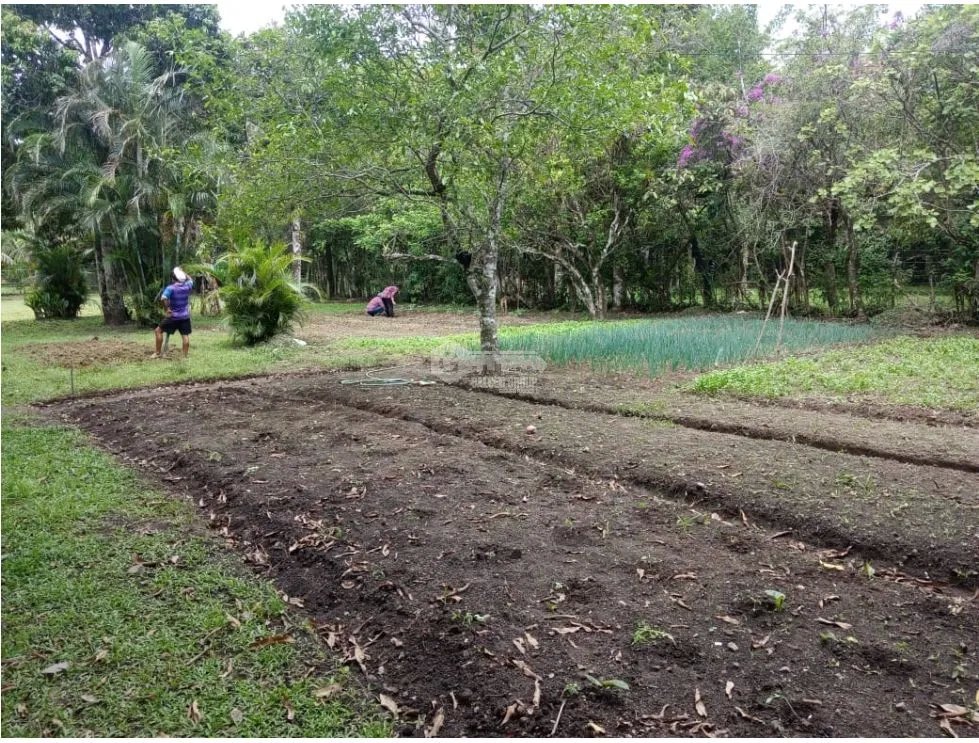 COCLE / EL VALLE DE ANTON / 3748M / 5 HABITACION / 5 BAÑOS / AG