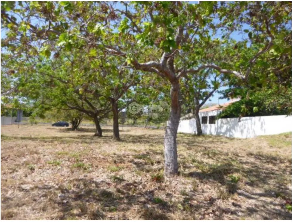 Building Lot for sale in Coronado