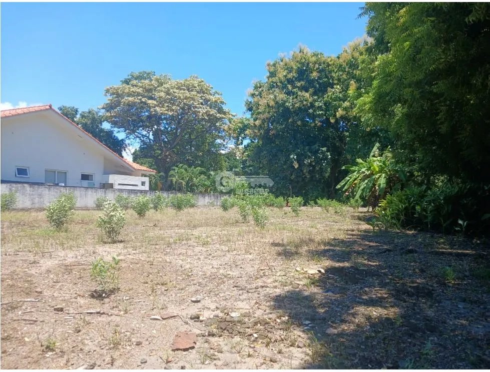 CORONADO / 1249 M / TERRENO PLANO / CLUB DE GOLF / AG
