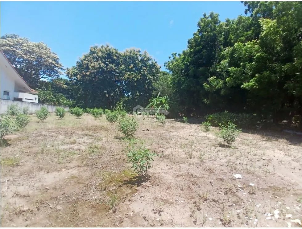 CORONADO / 1249 M / TERRENO PLANO / CLUB DE GOLF / AG