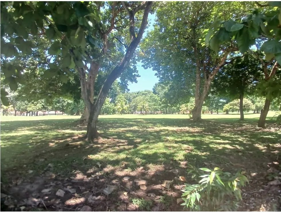 CORONADO / 1249 M / TERRENO PLANO / CLUB DE GOLF / AG