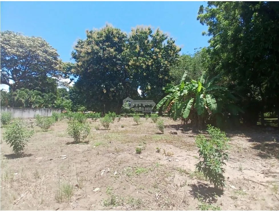 CORONADO / 1249 M / TERRENO PLANO / CLUB DE GOLF / AG