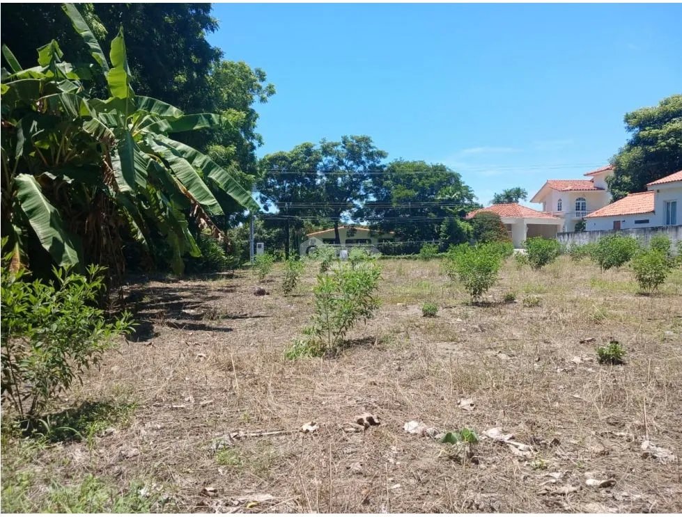 CORONADO / 1249 M / TERRENO PLANO / CLUB DE GOLF / AG