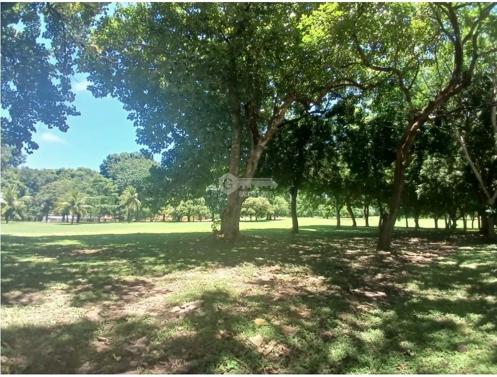 CORONADO / 1249 M / TERRENO PLANO / CLUB DE GOLF / AG