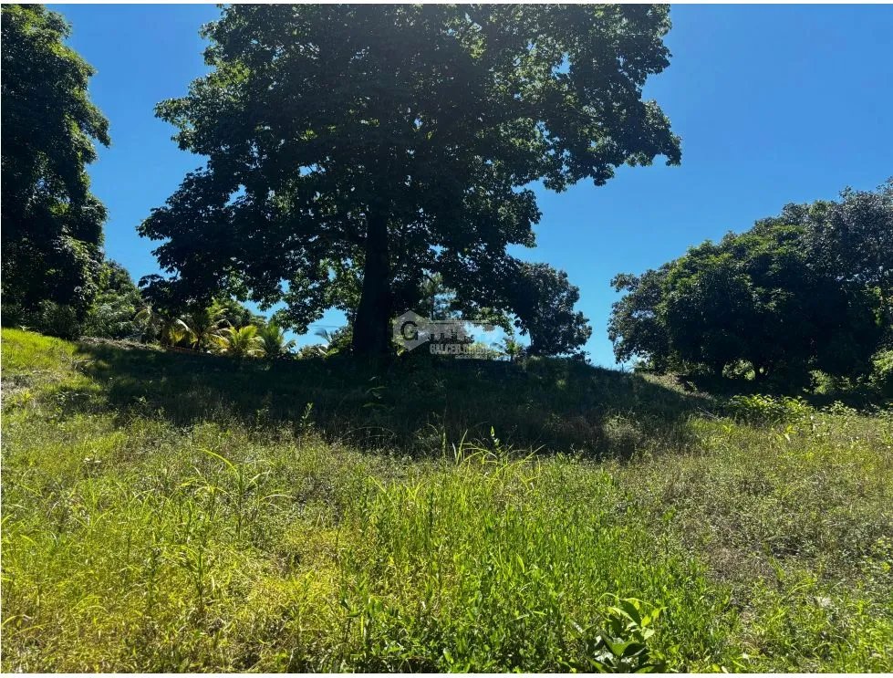 Building Lot for sale in Costa Esmeralda