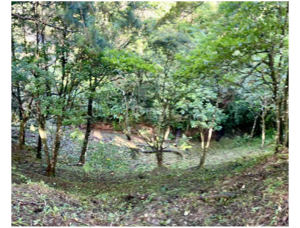 ALTOS DEL MARIA / 1525M / PUNTO ALTO / FRENTE A VIA / ESQUINA