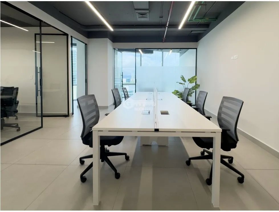 Office for rent in Costa del Este