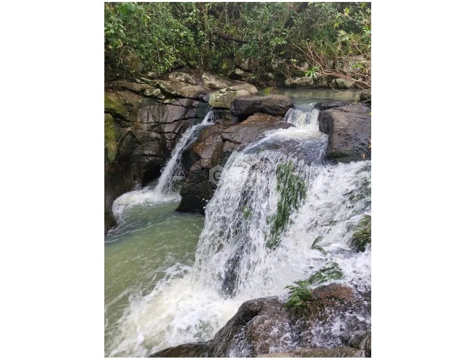 CHAME / LAS LAJAS / 25000M / TERRENO / COLINDA CON RIO / AG