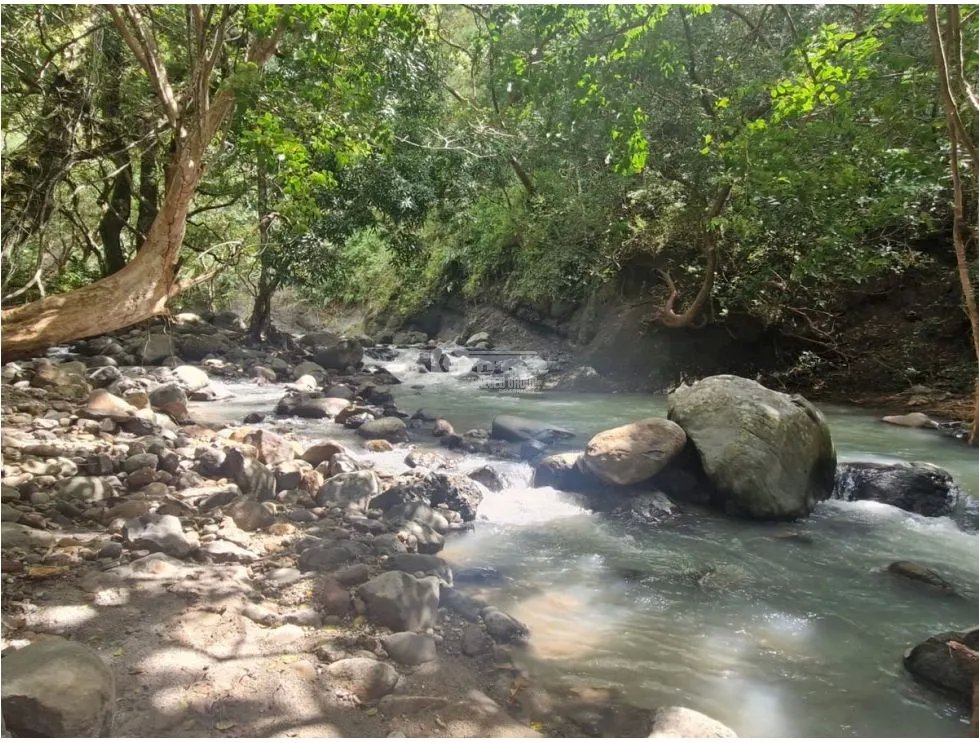 CHAME / LAS LAJAS / 25000M / TERRENO / COLINDA CON RIO / AG