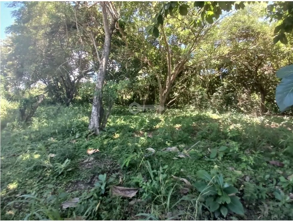 CHAME / CORONADO / TERRENO PLANO / 1000M / CERCA DE PLAYA / AG