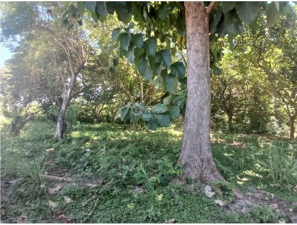 Building Lot for sale in Coronado
