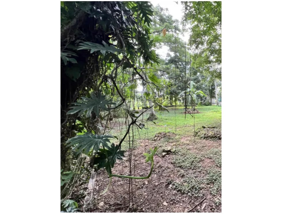 BALBOA / ANCON / URBANIZACION QUARRY HEIGHTS / 674 M / PLANO