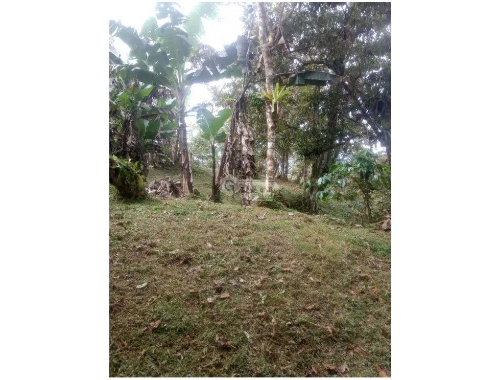 Building Lot for sale in Santa Fe