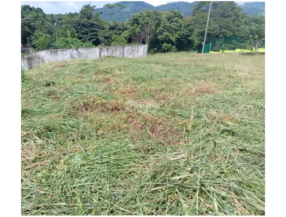 Building Lot for sale in La Mesa de San Martin