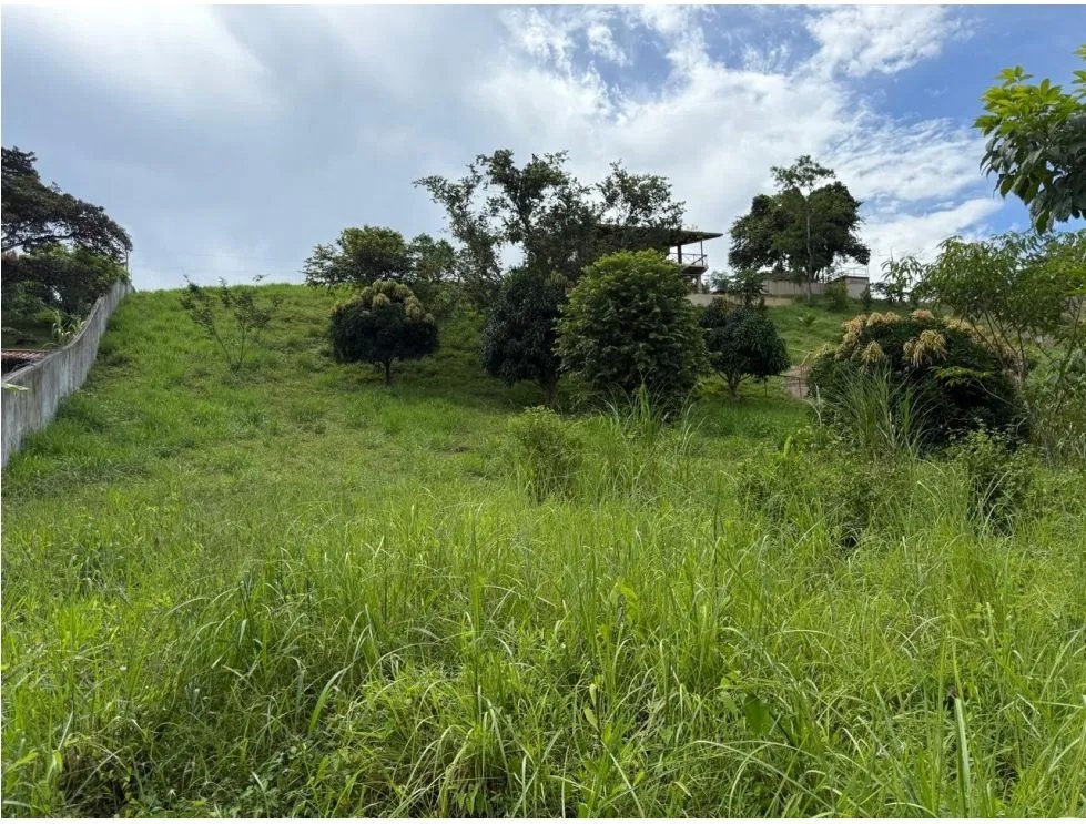 Building Lot for sale in La Mesa de San Martin