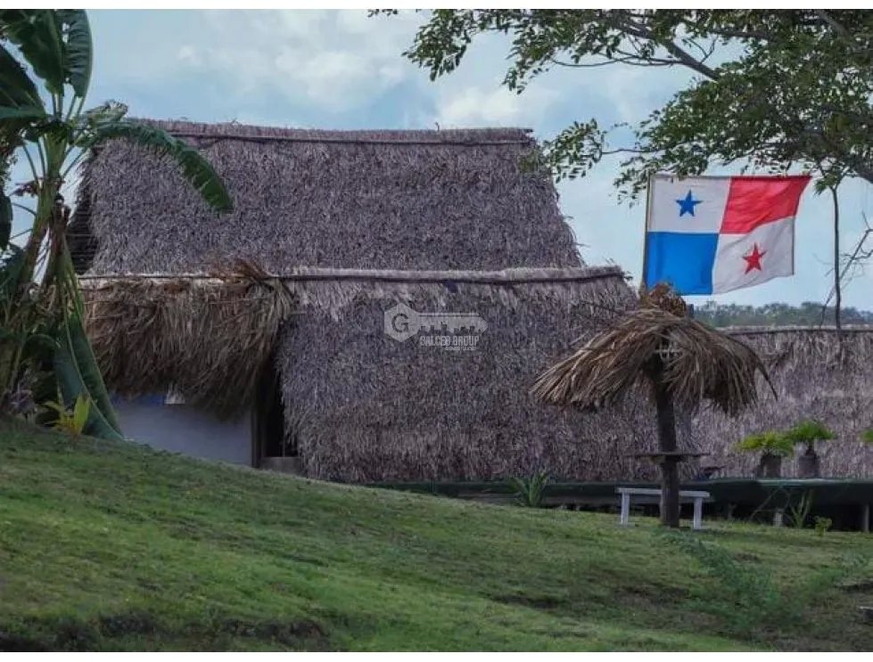 Land/Farm for sale in Chepo