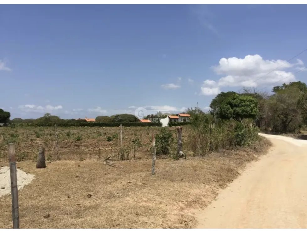 TERRENO / COCLE / RIO HATO / 17,725M / A 300M DE LA PANAMERICANA JC