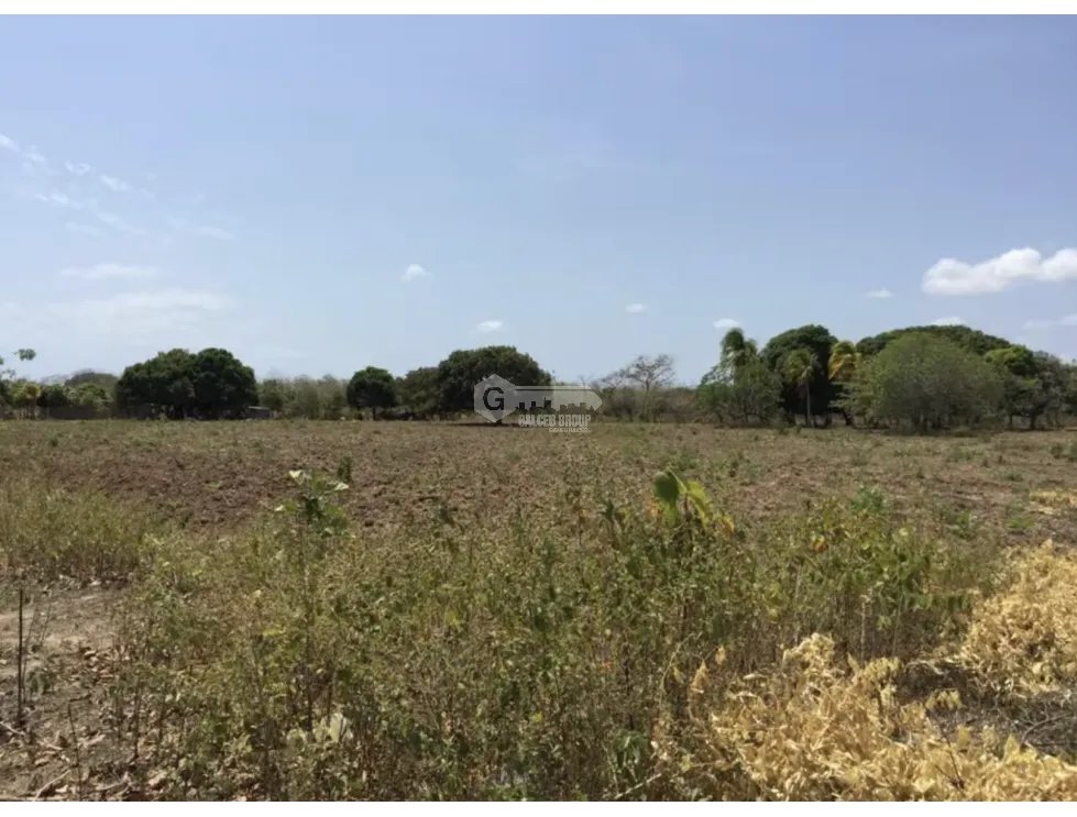 TERRENO / COCLE / RIO HATO / 17,725M / A 300M DE LA PANAMERICANA JC