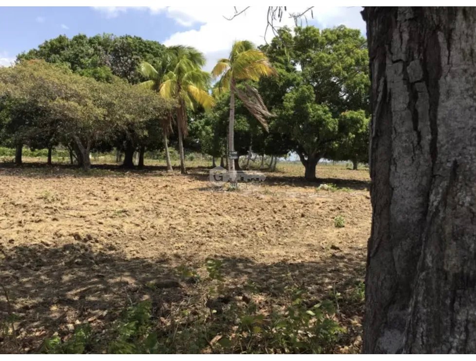Building Lot for sale in Rio Hato