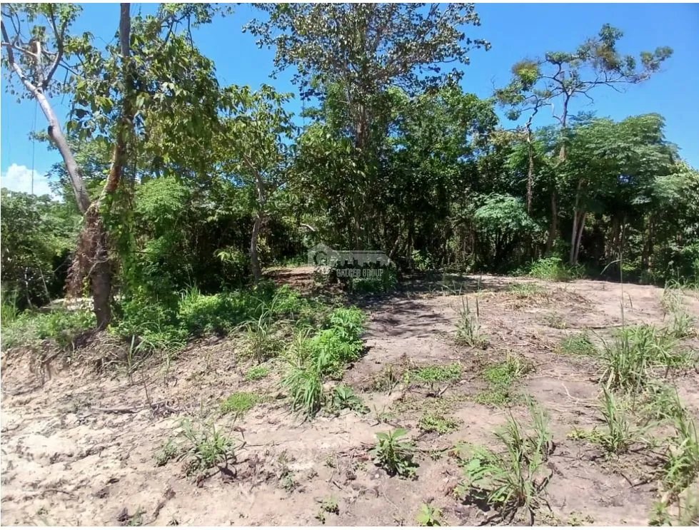 SAN CARLOS / COSTA ESMERALDA / TERRENO / 1000 m2 / COMUNIDAD DE PLAYA