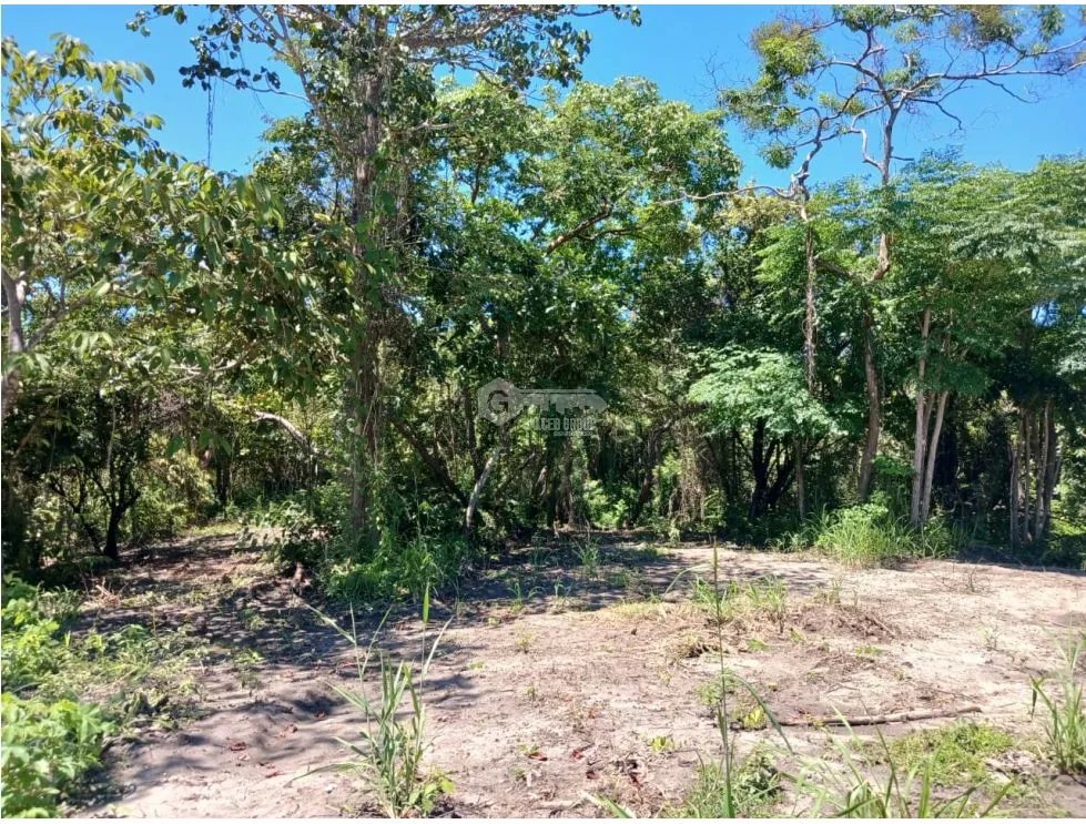 SAN CARLOS / COSTA ESMERALDA / TERRENO / 1000 m2 / COMUNIDAD DE PLAYA