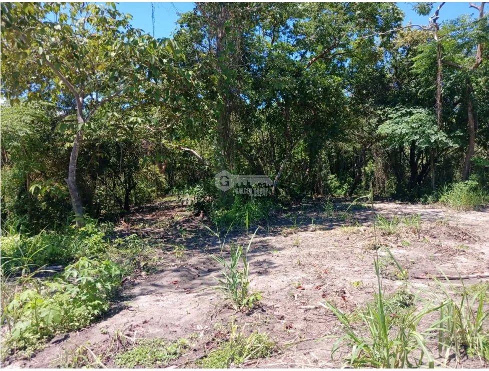 SAN CARLOS / COSTA ESMERALDA / TERRENO / 1000 m2 / COMUNIDAD DE PLAYA