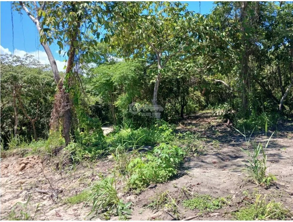 SAN CARLOS / COSTA ESMERALDA / TERRENO / 1000 m2 / COMUNIDAD DE PLAYA