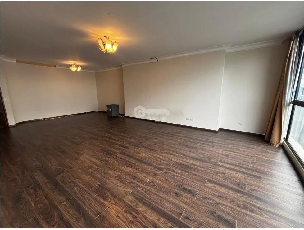 PENTOUSE EN PAITILLA / GOLDEN PALACE / 700M2 / VISTA AL MAR